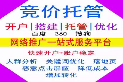 竞价SEM案例解析：电商行业营销策略